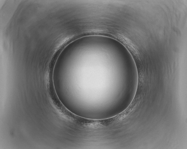 X0000116280112200911301406