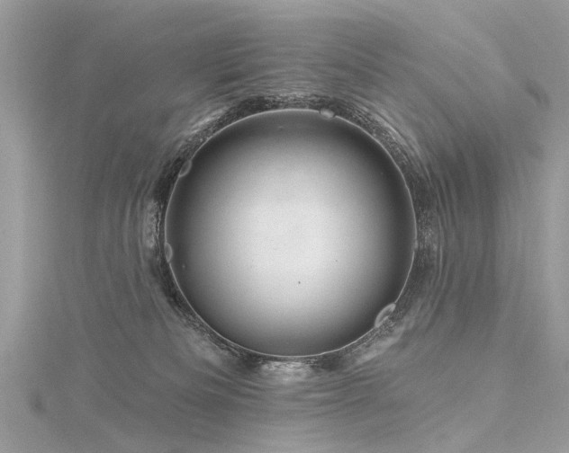 X0000116280133200911301406