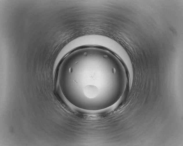 X0000116280135200911301406