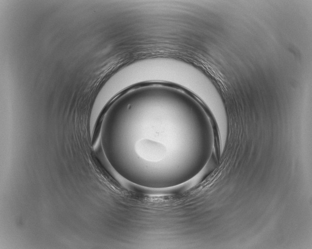 X0000116280141200911301406
