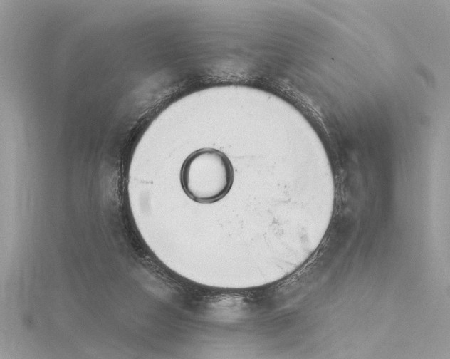 X0000116280162200911301405