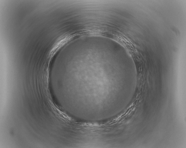 X0000116280194200911301405