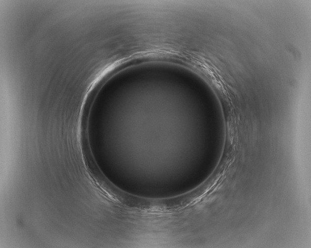 X0000116280196200911301405