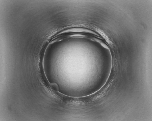 X0000116280201200911301405