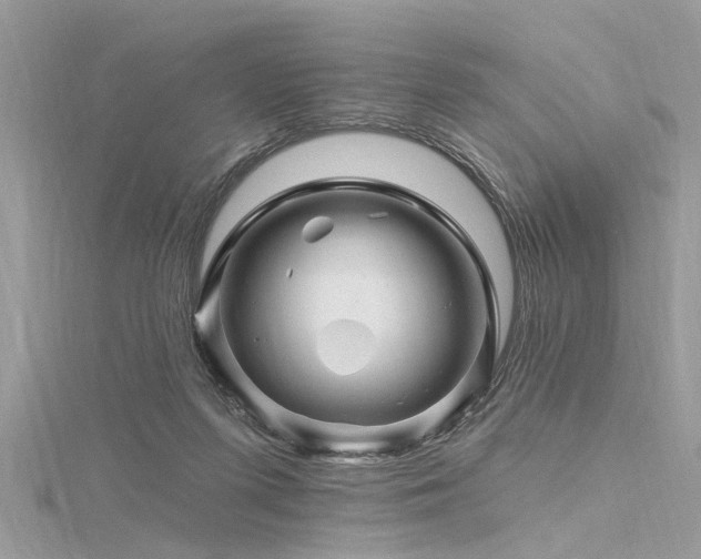 X0000116280215200911301405