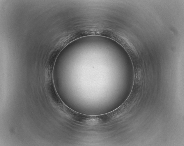 X0000116280218200911301405