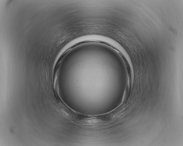 X0000116280219200911301405
