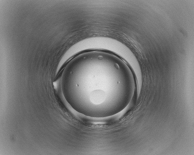 X0000116280225200911301405