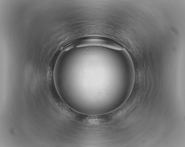 X0000116280228200911301405