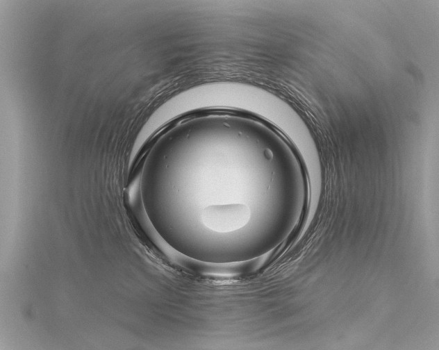 X0000116280233200911301405