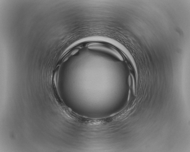 X0000116280235200911301404