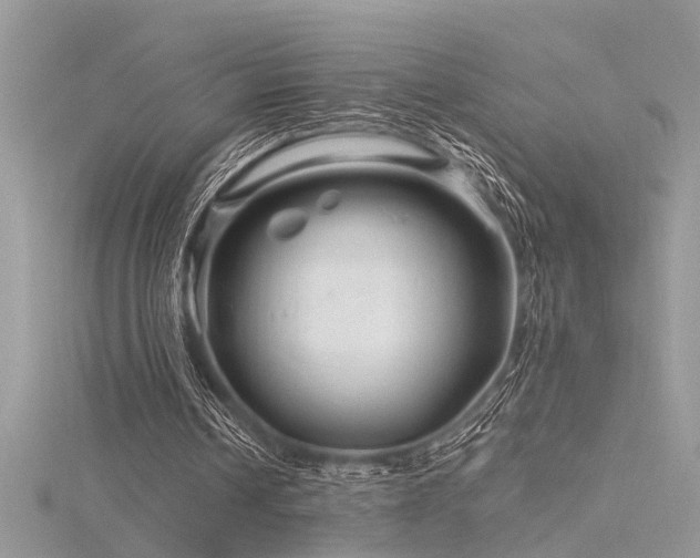 X0000116280242200911301404