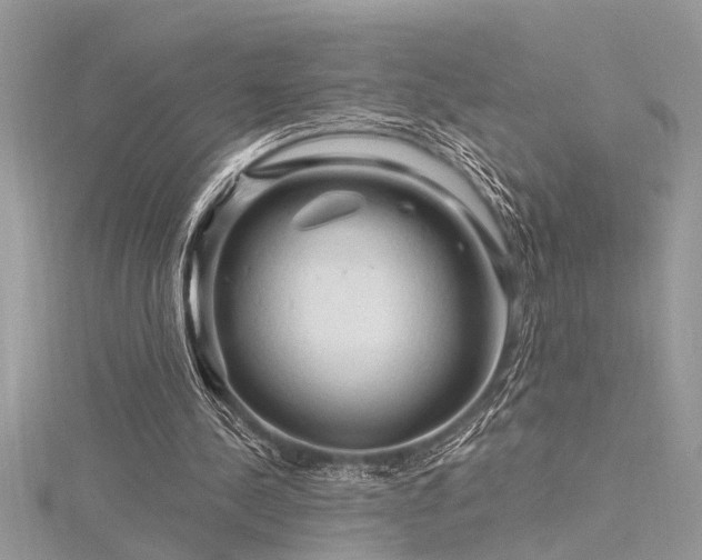 X0000116280244200911301404