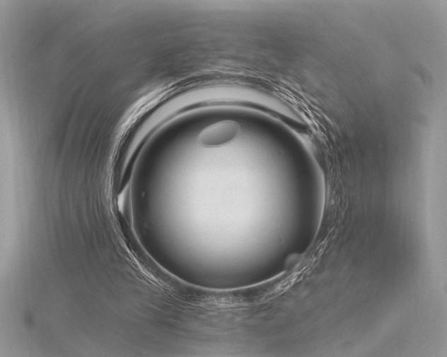 X0000116280245200911301404