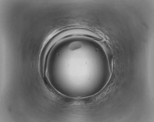 X0000116280248200911301404