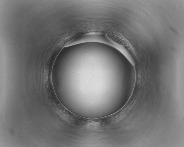 X0000116280257200911301404