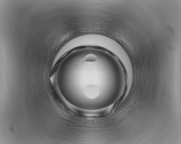 X0000116280264200911301404