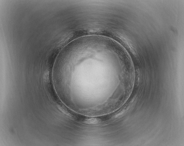 X0000116280269200911301404