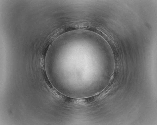 X0000116280281200911301404