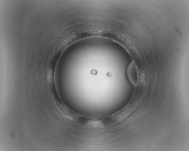 X0000116280283200911301404