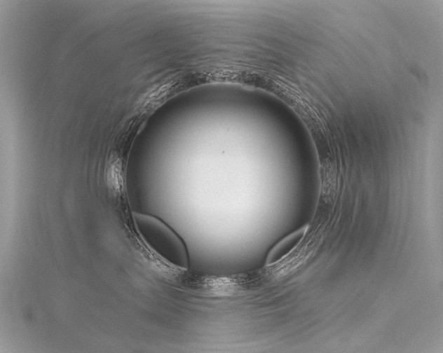 X0000116280287200911301404