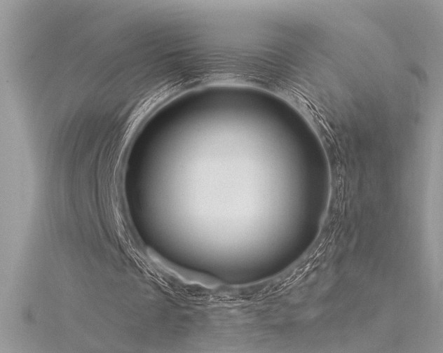 X0000116280289200911301404