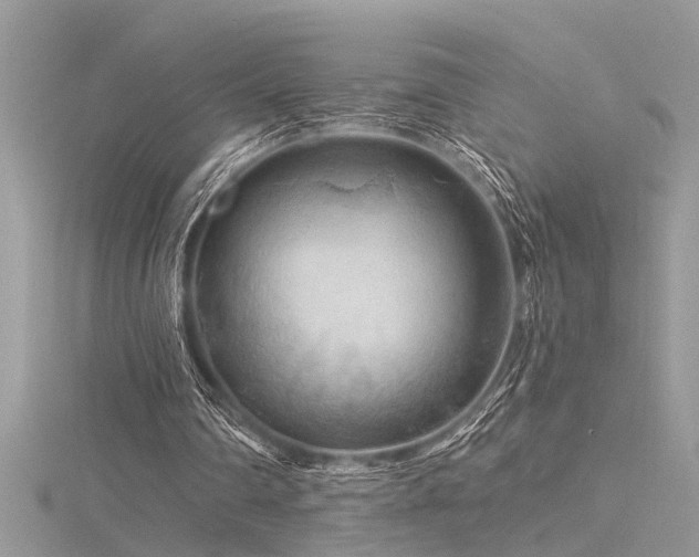 X0000116280290200911301404