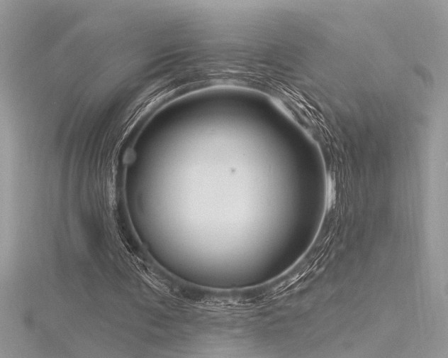 X0000116280291200911301404