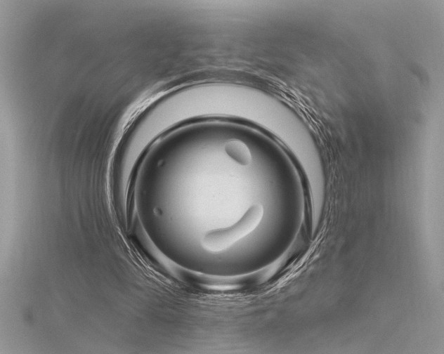 X0000116280294200911301404
