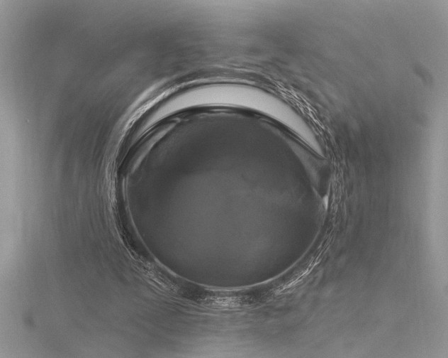 X0000116280295200911301404