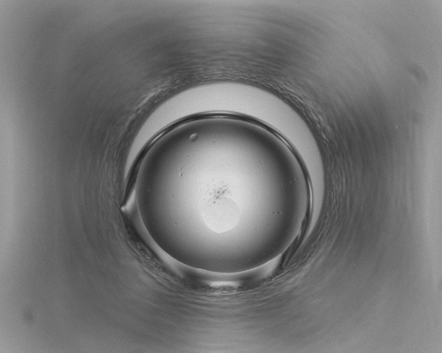 X0000116280308200911301403
