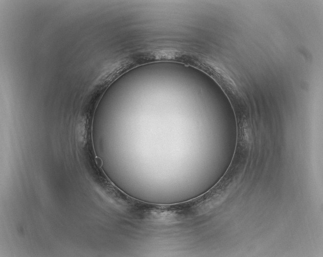 X0000116280311200911301403