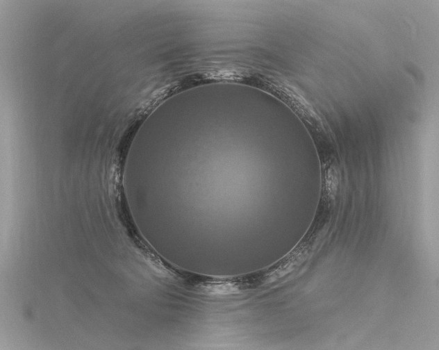 X0000116280322200911301403