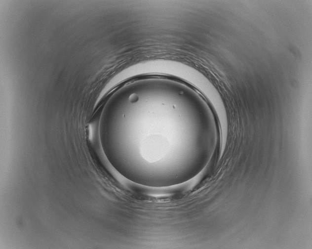 X0000116280328200911301403