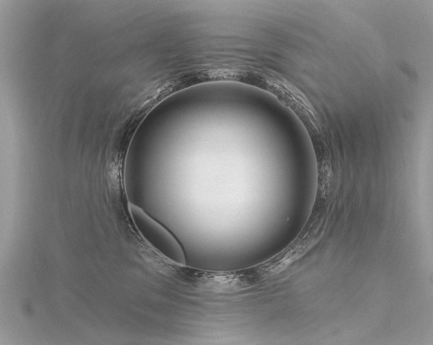 X0000116280329200911301403