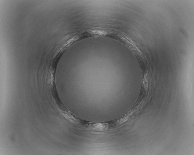 X0000116280330200911301403