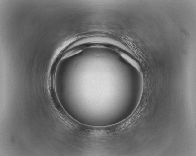 X0000116280342200911301402