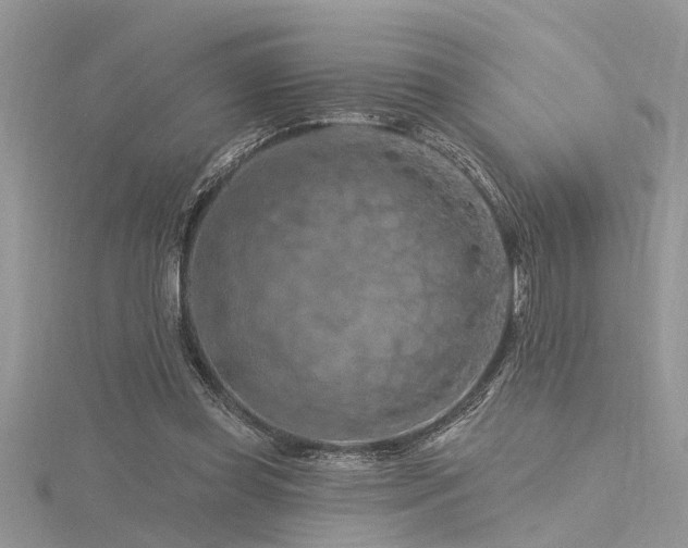 X0000116280349200911301403