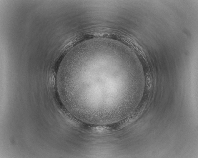 X0000116280375200911301403