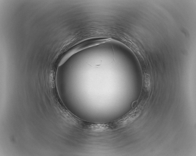 X0000116280378200911301403