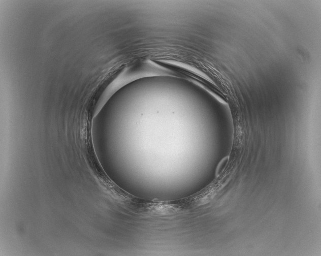 X0000116280379200911301403