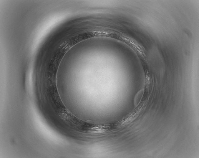 X0000116280381200911301403