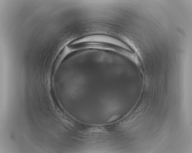 X0000116280386200911301402