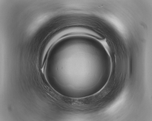 X0000116280387200911301402
