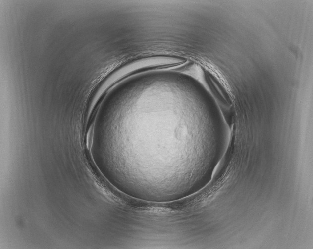 X0000116280393200911301402