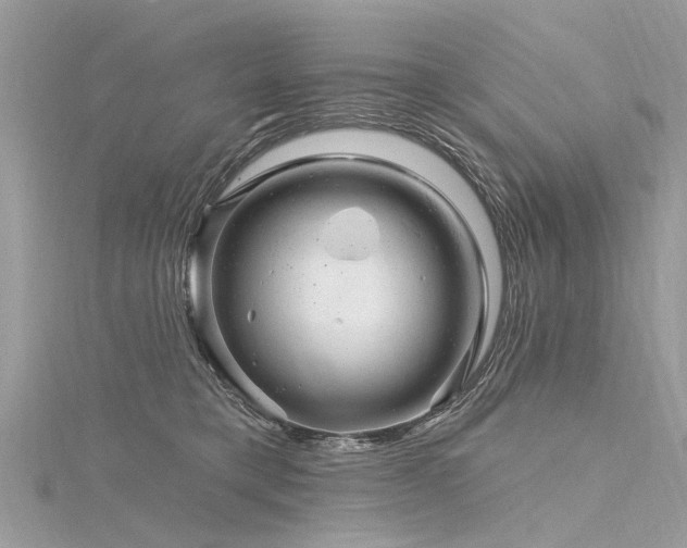 X0000116280421200911301402