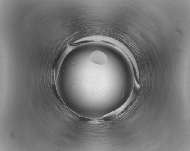 X0000116280425200911301402