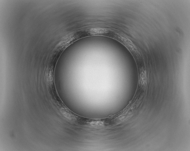 X0000116280426200911301402
