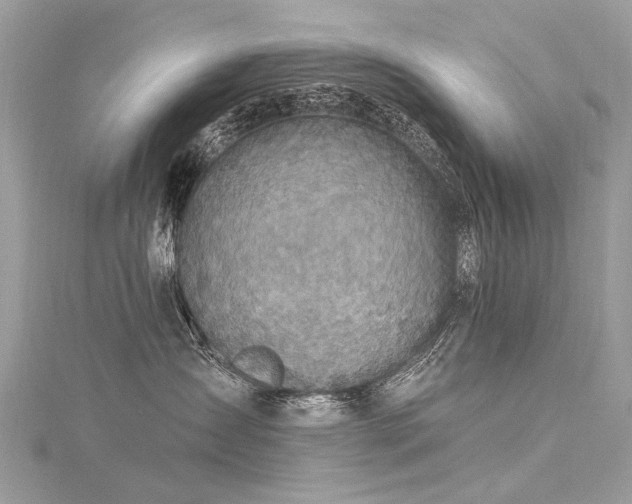 X0000116280431200911301402