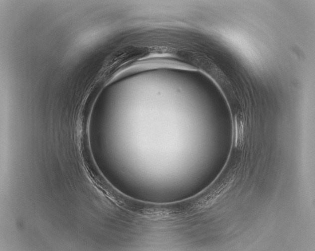 X0000116280435200911301401